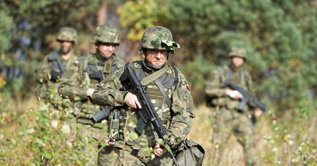 Żołnierze WOT i bezrobotni. RPO pomógł żołnierzom
