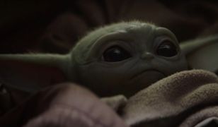 "The Mandalorian". Baby Yoda podbija serca internautów na całym świecie