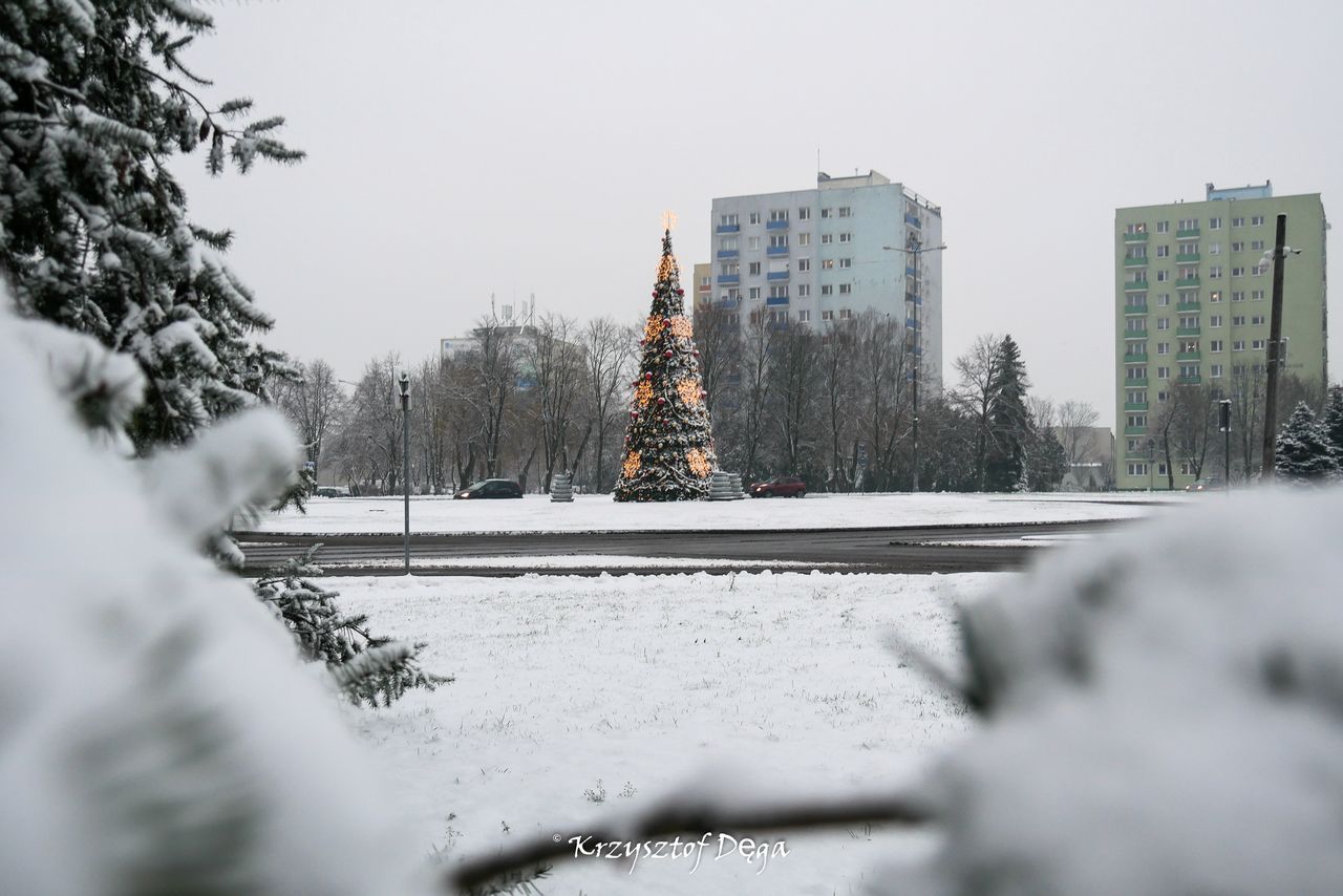 Piła pod śnieżną kołderką