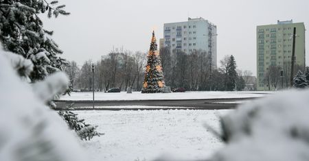 Piła pod śnieżną kołderką
