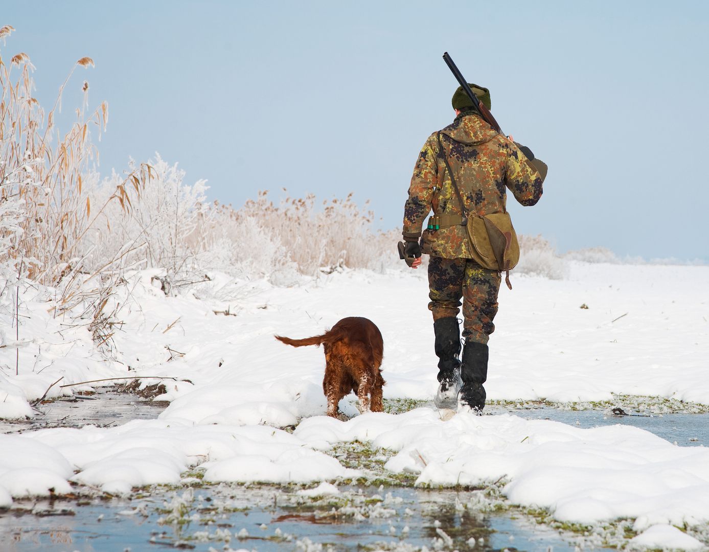 Menedżerowie Gazpromu zabici na polowaniu na Syberii