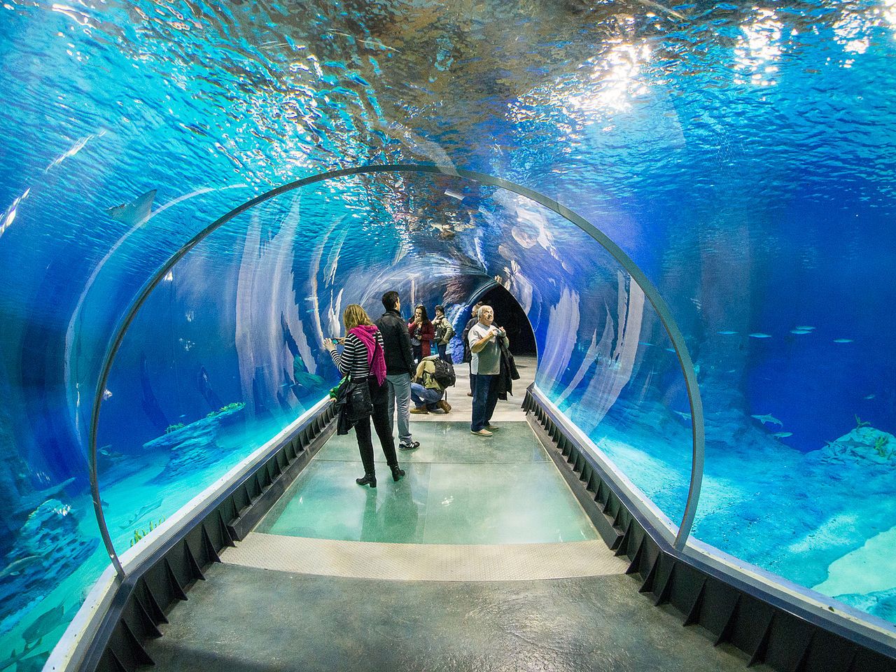 Wrocławskie Afrykarium uznane za zoologiczny cud świata