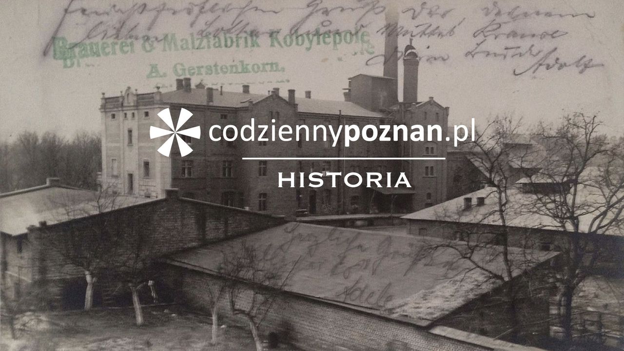 Na piwo do hrabiego, czyli historia browaru Mycielskich w Kobylepolu