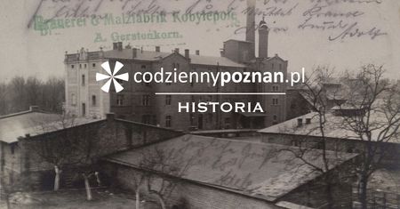 Na piwo do hrabiego, czyli historia browaru Mycielskich w Kobylepolu