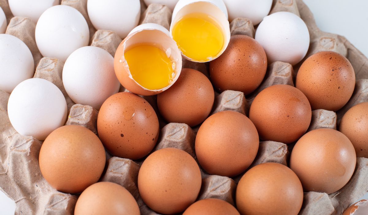 Jajka, dzięki wartościom odżywczym, warto wprowadzić do codziennej diety/źródło: sidrahsana/Canva