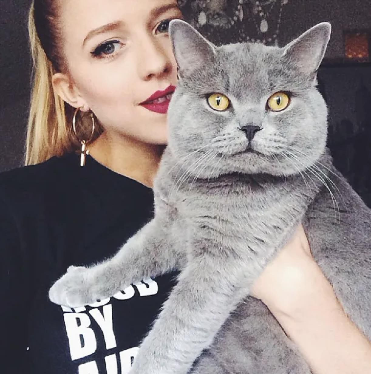 Jessica Mercedes - kot