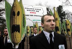 GMO – puszka Pandory czy rozpędzony pociąg?