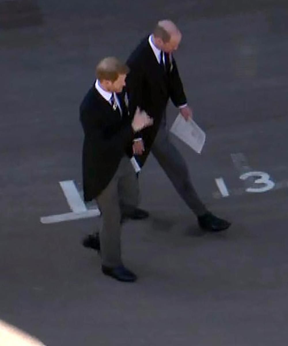 Książę Harry, książę William