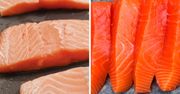 Jak odróżnić łososia hodowlanego od dzikiego? Wystarczy spojrzeć na jeden szczegół