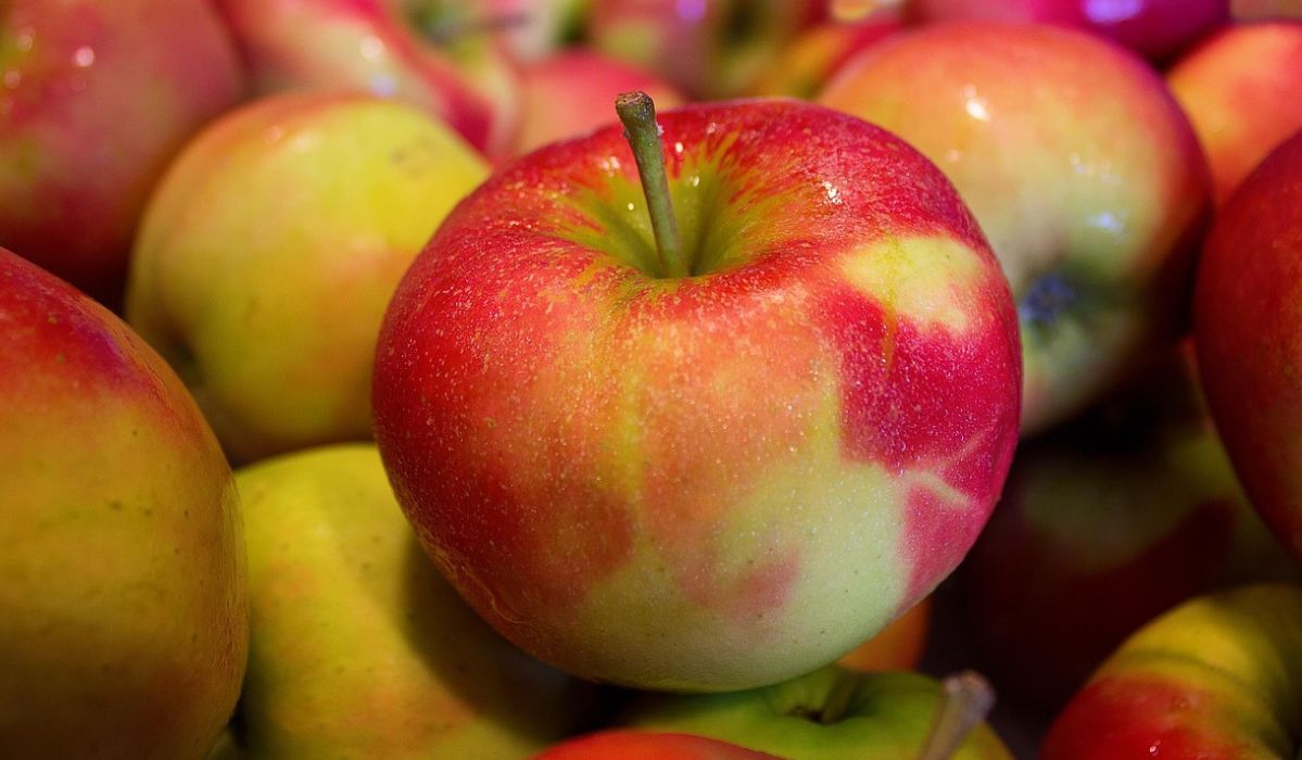 Jabłka zawierają wiele korzystnych dla zdrowia związków - Pyszności; Fot. Pixabay