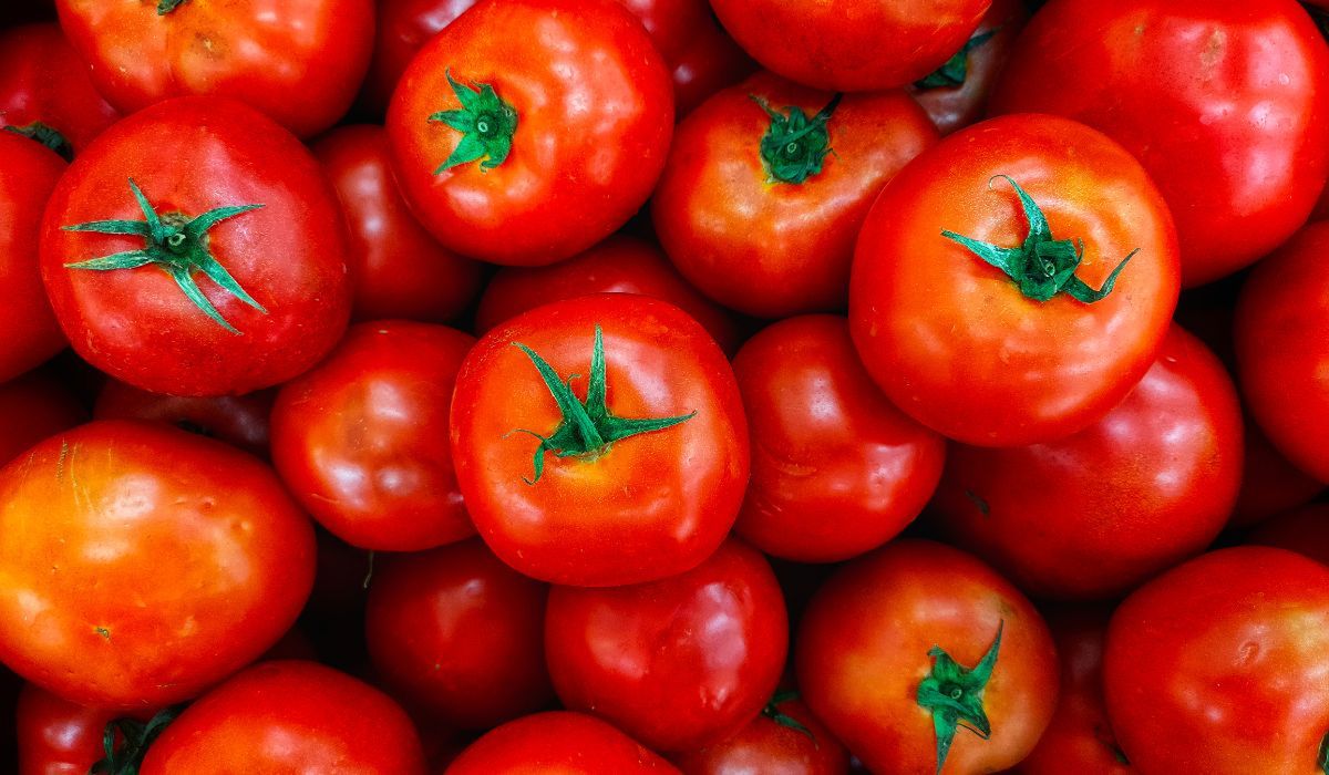 Podczas zakupów kupuj zawsze pomidory z zieloną szypułką lub gałązką/źródło: Dhie, Dyah Rina Anggraini's