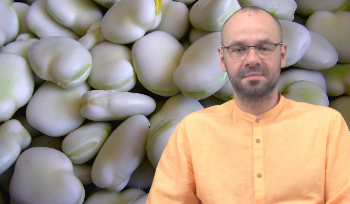 Bób może zaszkodzić, a nawet zabić pewne osoby. Lekarz wyjaśnia, kto nie powinien go jeść