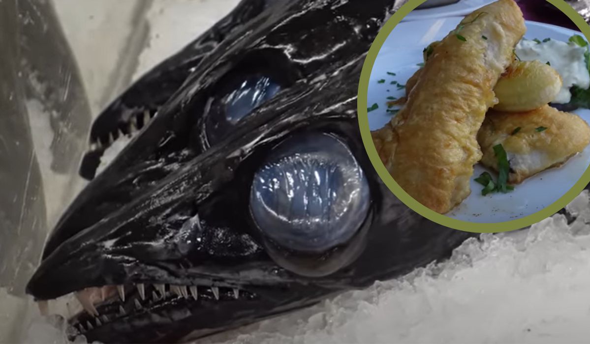 Pałasz czarny to ryba, którą zjemy na Maderze - Pyszności; Fot. YouTube:  Kamil In Travel (screenshot)