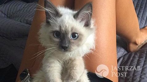 Natalia Siwiec dostała kotka