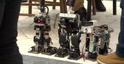 Mechaniczne motyle i roboty sumo. Na Politechnice Warszawskiej odbyła się 8. edycja turnieju Nrobomaticon