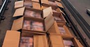 CBŚP ZAPOBIEGŁO GIGANTYCZNEMU PRZEMYTOWI HASZYSZU WARTEGO 60 MLN ZŁ