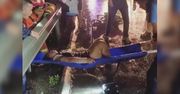 7 osób zginęło, a 11 zostało rannych w wypadku autokaru na autostradzie w Chinach