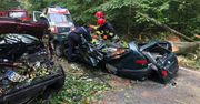 Drzewo przygniotło dwa samochody. Zablokowana droga krajowa nr 25 w Drołtowicach