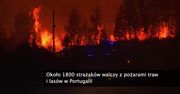 Około 1800 strażaków walczy z pożarami traw i lasów w Portugalii