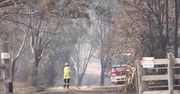 Ogień zbliża się do przedmieść Sydney. Australijskie władze ogłosiły 7-dniowy stan wyjątkowy