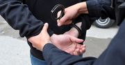 Naukowcy odkryli, że przestępcy mają mniejsze mózgi niż ludzie uczciwi