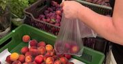 Owoce i warzywa są droższe niż przed rokiem. Przez wzrost kosztów niektórzy producenci muszą dokładać do biznesu