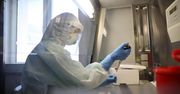 Badania z udziałem Polki: od naszych genów zależy podatność na koronawirusa i COVID-19