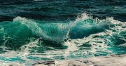 Zanieczyszczenia i nadmierne połowy zagrożeniem dla oceanów. Wiele gatunków ryb może zniknąć