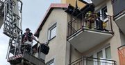 Policjanci uratowali psy pozostawione w rozgrzanych pomieszczeniach