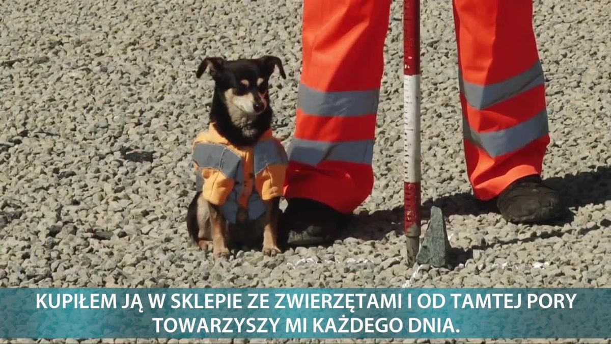 zdjęcie