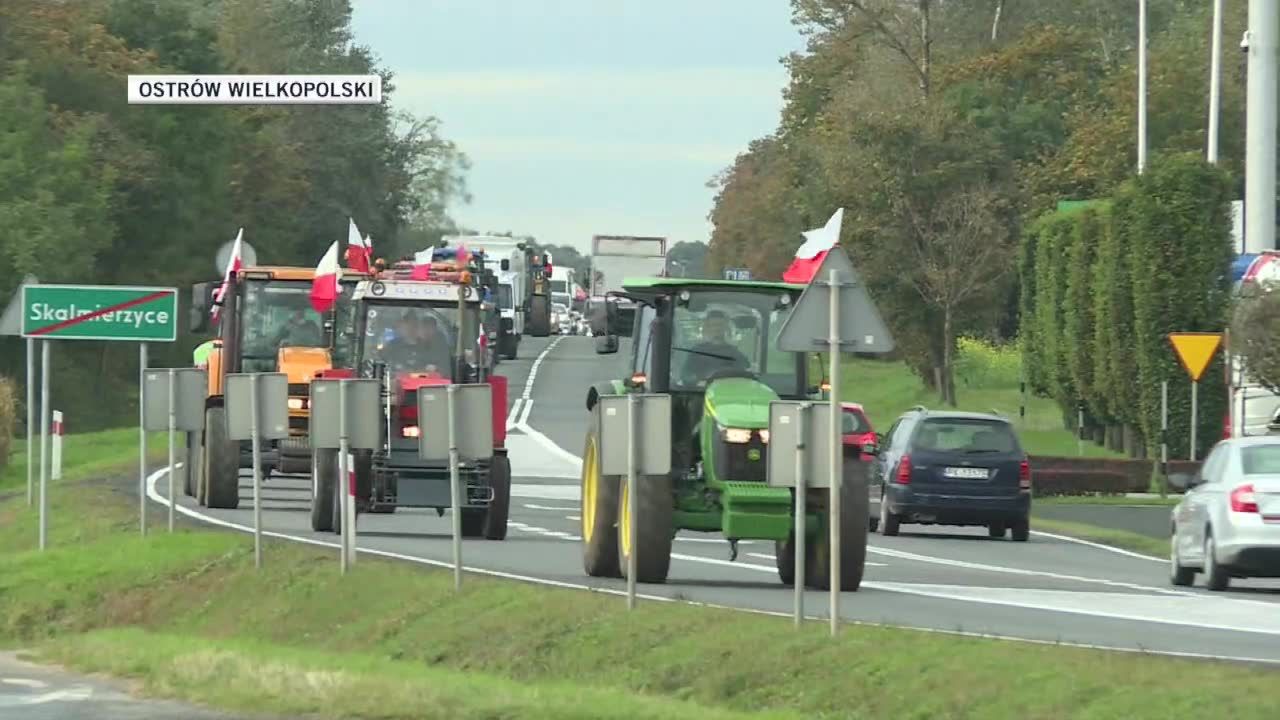 Rolnicy blokują drogi w całej Polsce. Protest przeciwko “piątce dla zwierząt”