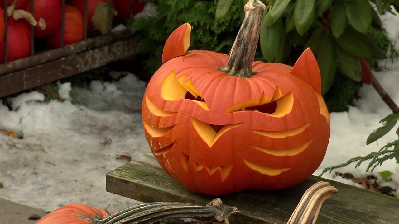 Już jutro Halloween. Skąd wziął się ten zwyczaj?