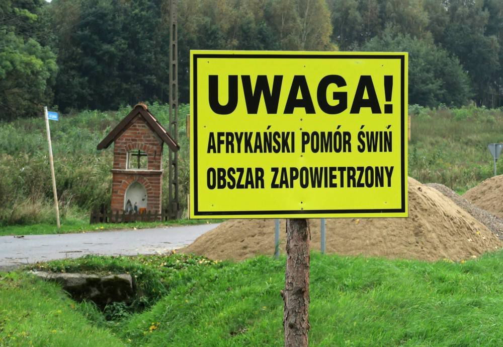 W 60. gminach złagodzono ograniczenia wz. z ASF