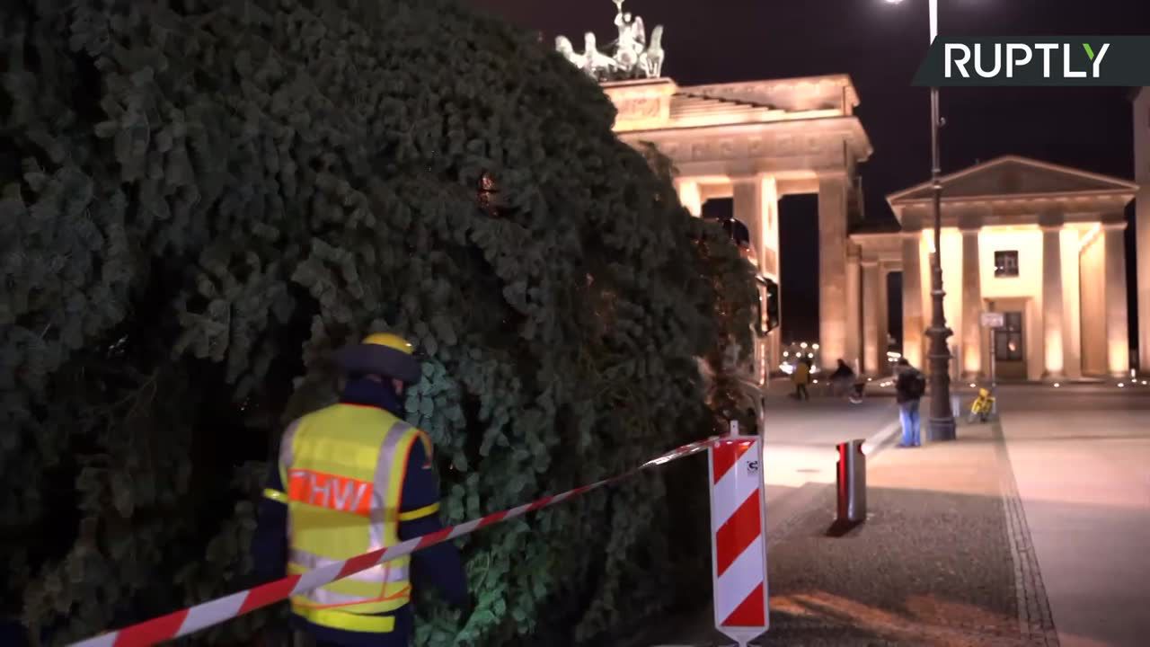 Świąteczna choinka stanęła przed Bramą Brandenburską w Berlinie