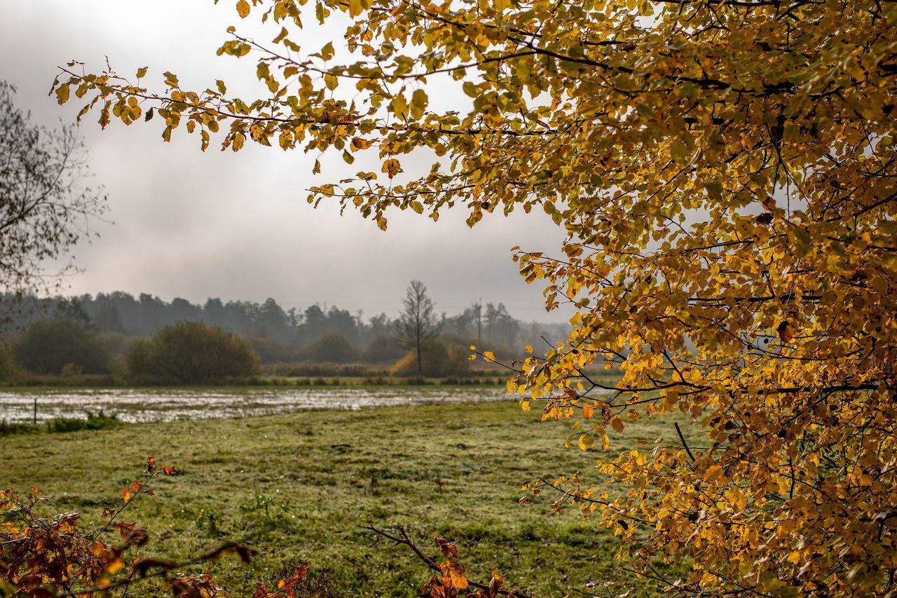 Czwartek przeważnie pochmurny. Lokalnie możliwe rozpogodzenia