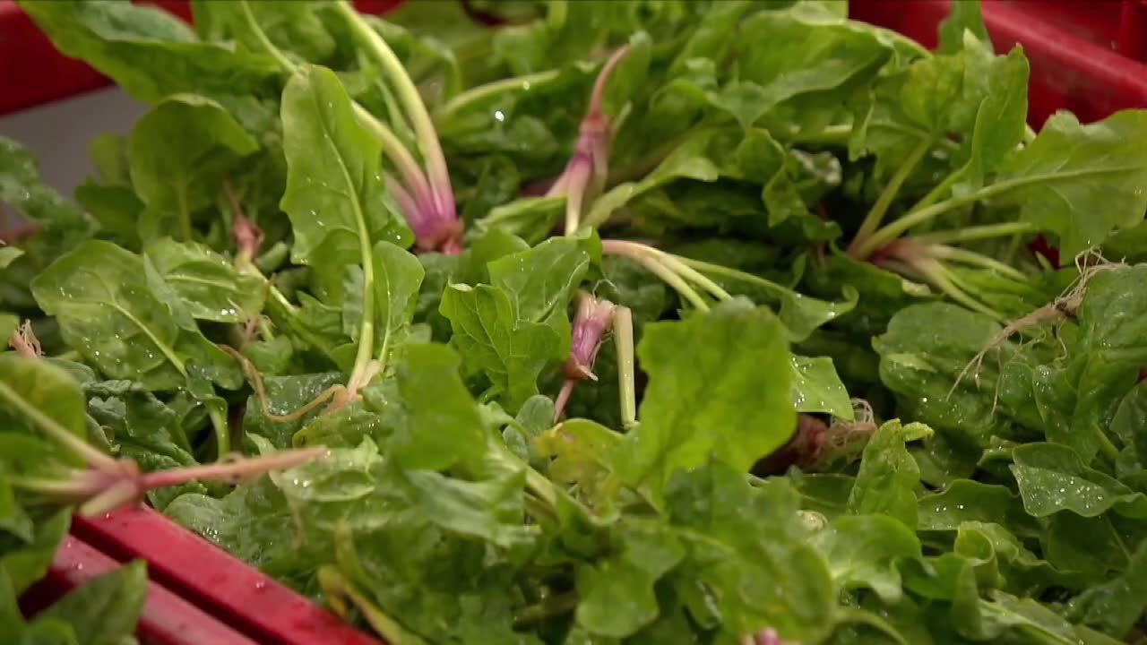 5 produktów, które powinny znaleźć się w twojej codziennej diecie