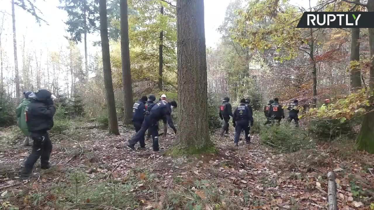 Trwają protesty niemieckich aktywistów przeciwko wycince lasu pod budowę autostrady A49