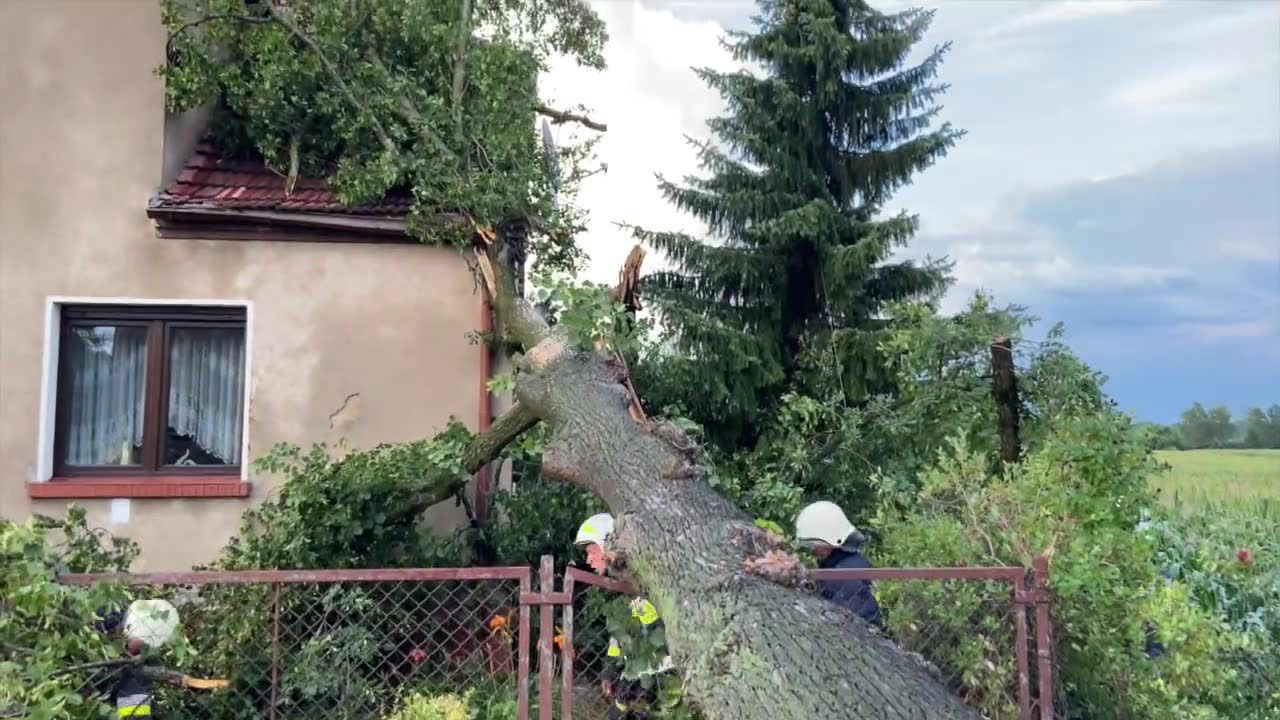 Straty po nocnych burzach. W Opolu spadające drzewa uszkodziły wiele samochodów i dom jednorodzinny