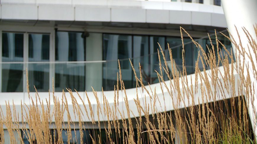 W dużych miastach popyt na nieruchomości wciąż wysoki. Na rynku brakuje 2 mln mieszkań