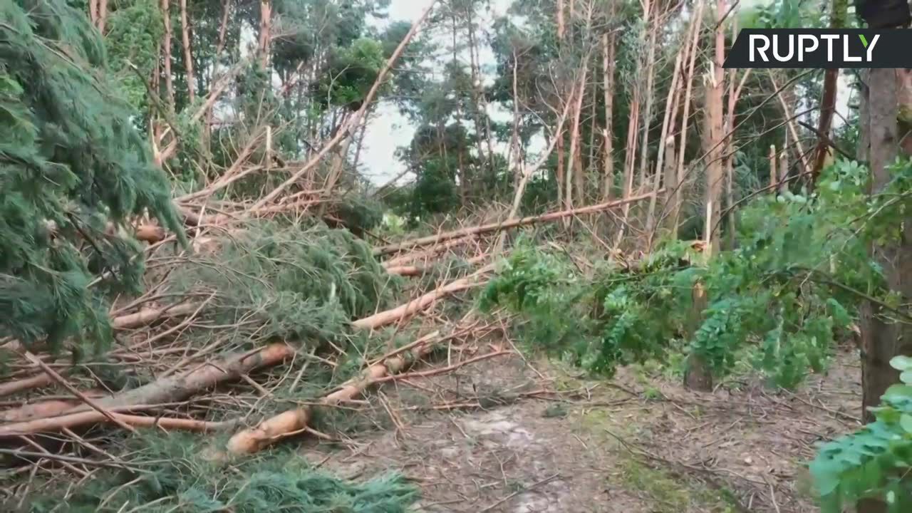 Potężne wichury na Białorusi. Dziesiątki domów pozbawionych elektryczności