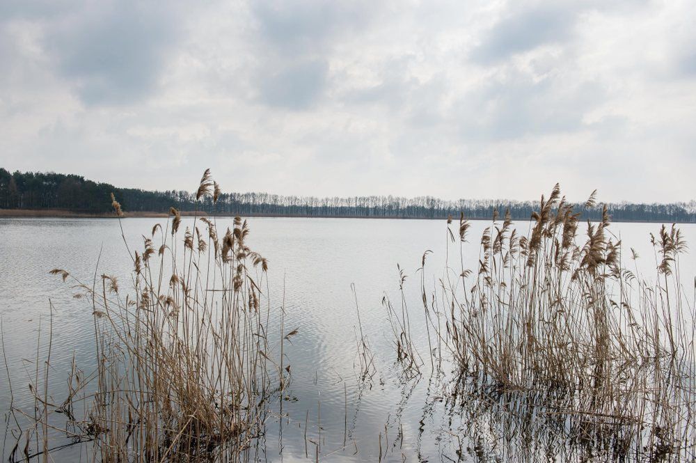 300 zł na hektar dla rybaków poszkodowanych przez ubiegłoroczną suszę lub powódź