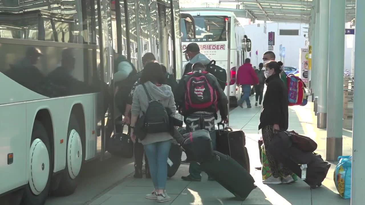 Niemieckie rolnictwo potrzebuje 300 tys. pracowników sezonowych. Rząd wysyła po nich samoloty do Rumunii