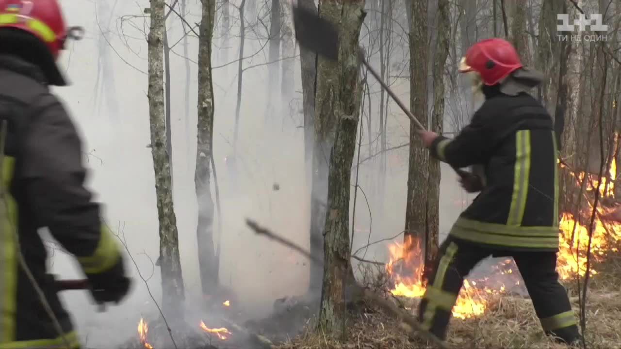 Trwa walka z pożarami lasów na Ukrainie. Strażacy korzystają z samolotów i specjalistycznego pociągu