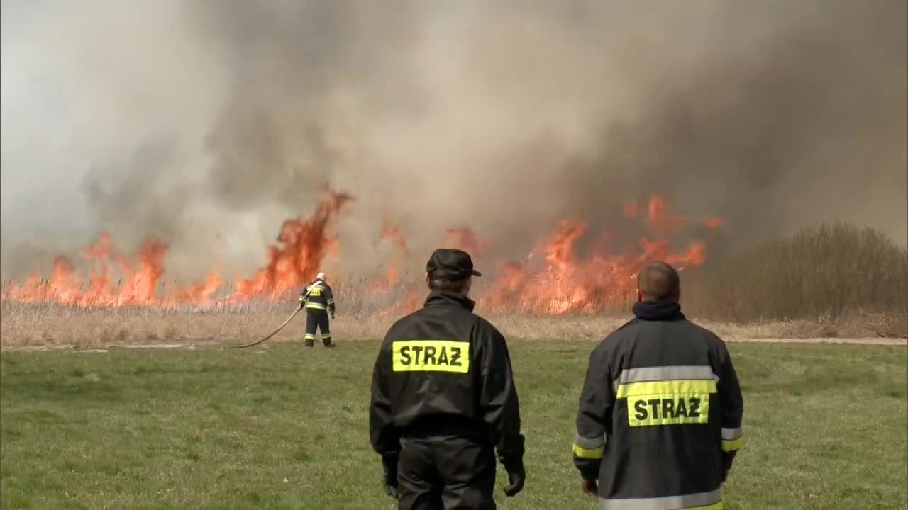 W Biebrzańskim Parku Narodowym spłonęło około 1,3 hektara bagien i lasu