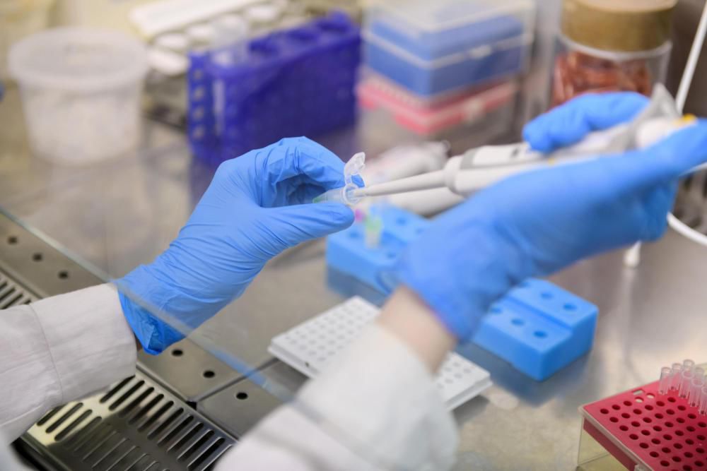 Pierwszy na świecie test podatności na koronawirusa powstaje w Polsce