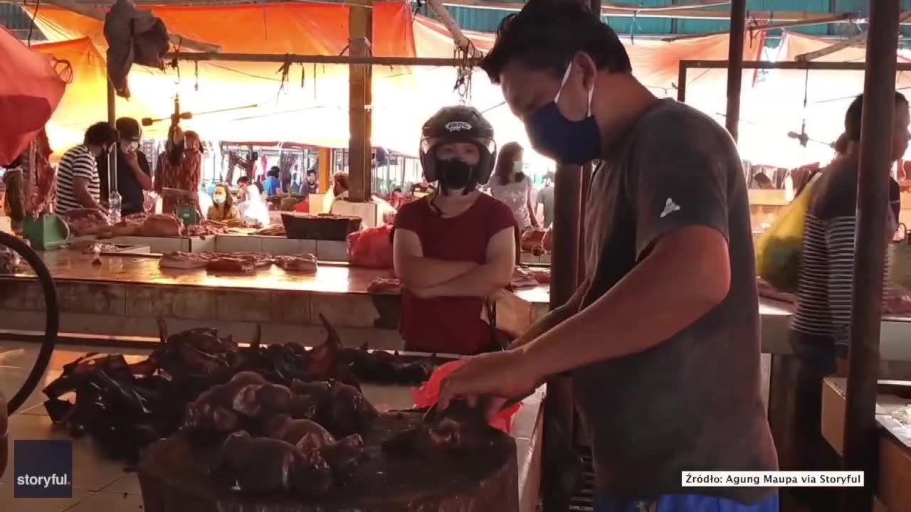 Rzeźnicy kroją ciała nietoperzy, a kucharze opalają zwłoki psów. Mokry targ na Sulawesi działa pomimo pandemii