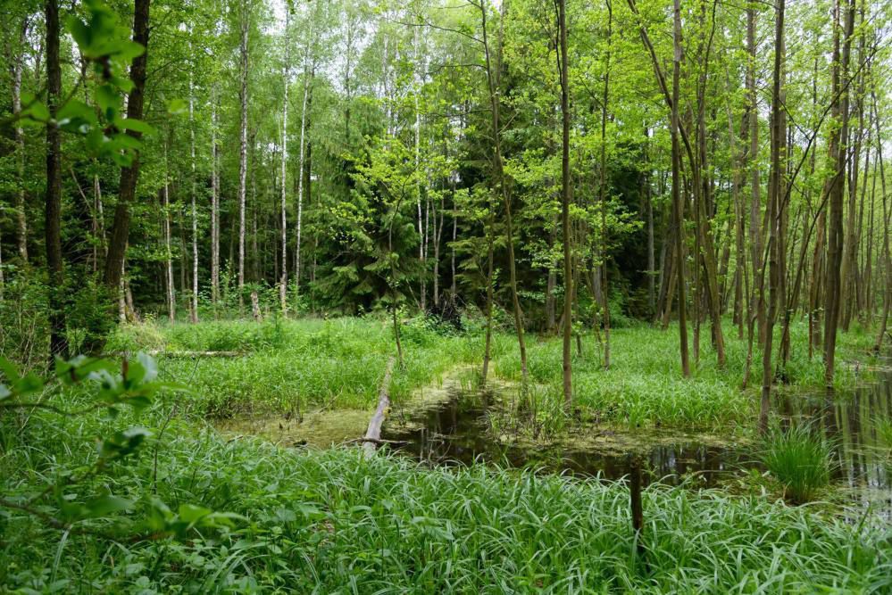 Połowa lądów – w dużej mierze wolna od wpływu człowieka