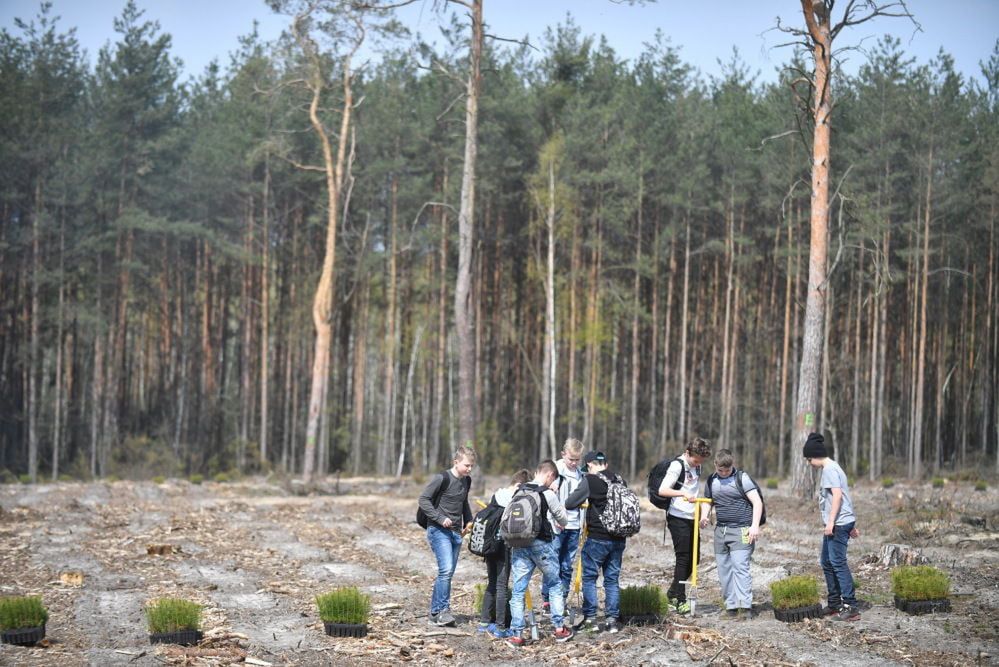 Sadzenie lasów może prowadzić do niedoboru wody