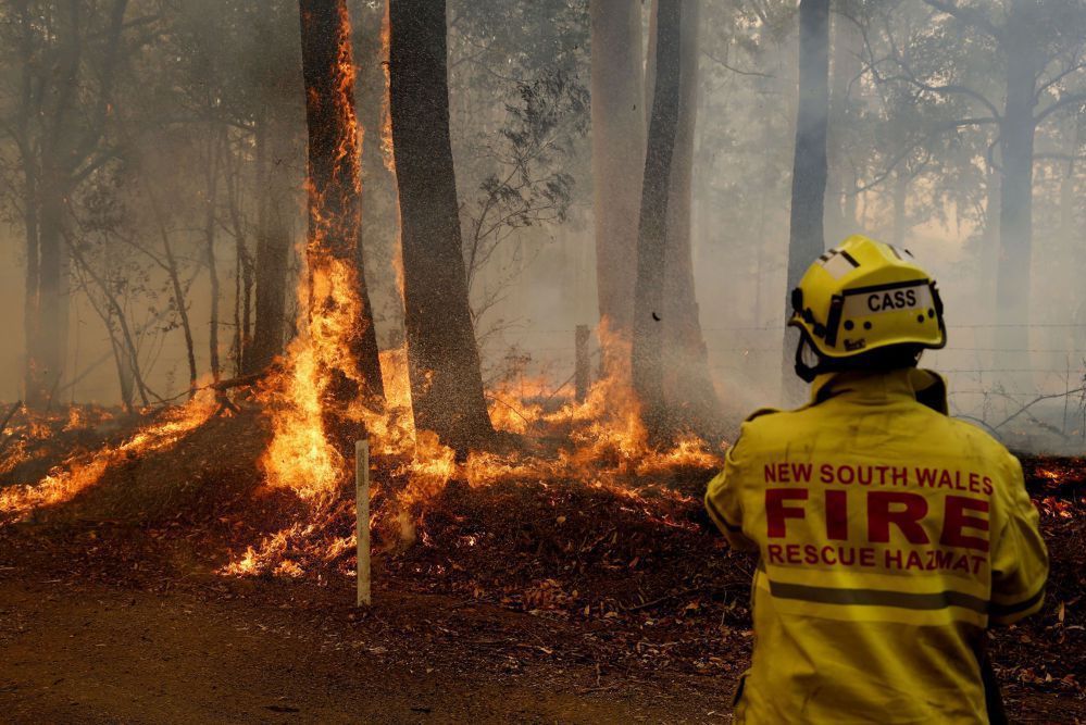 Ocieplenie klimatu sprzyja pożarom lasów