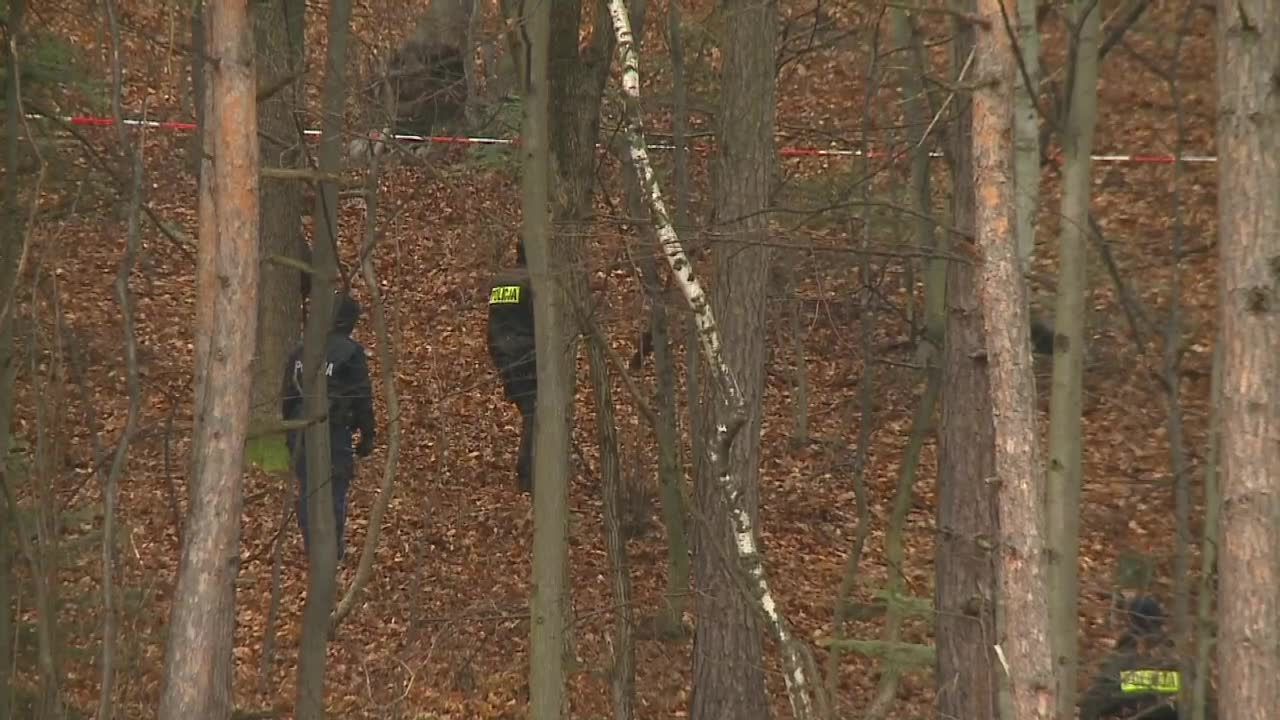 Harcerze ostrzelani podczas ogniska w lesie. Policja zatrzymała sprawcę